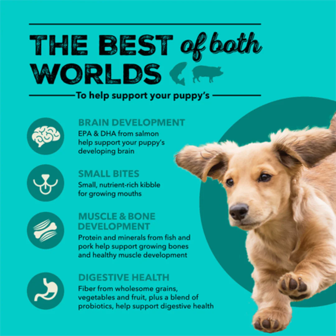 Acana Healthy Grains Sea & Farm Puppy Recipe - Image 5