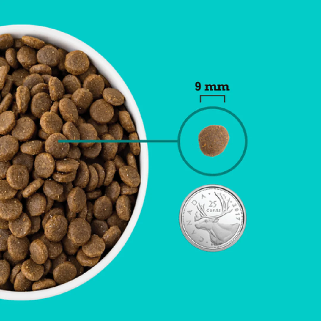 Acana Healthy Grains Sea & Farm Puppy Recipe - Image 6