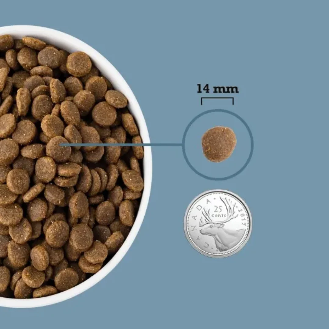 Acana Healthy Grains Sea to Stream Recipe - Image 6