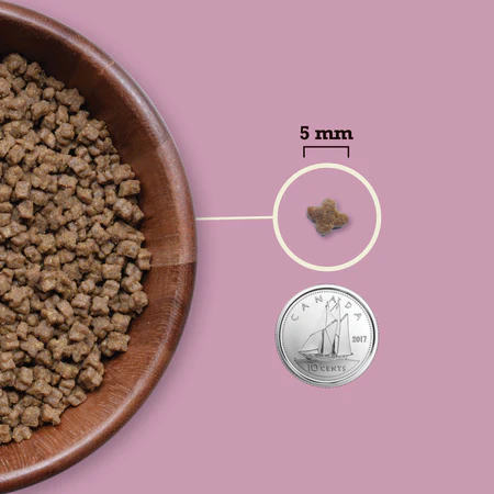 Acana Highest Protein Kitten Recipe - Image 3