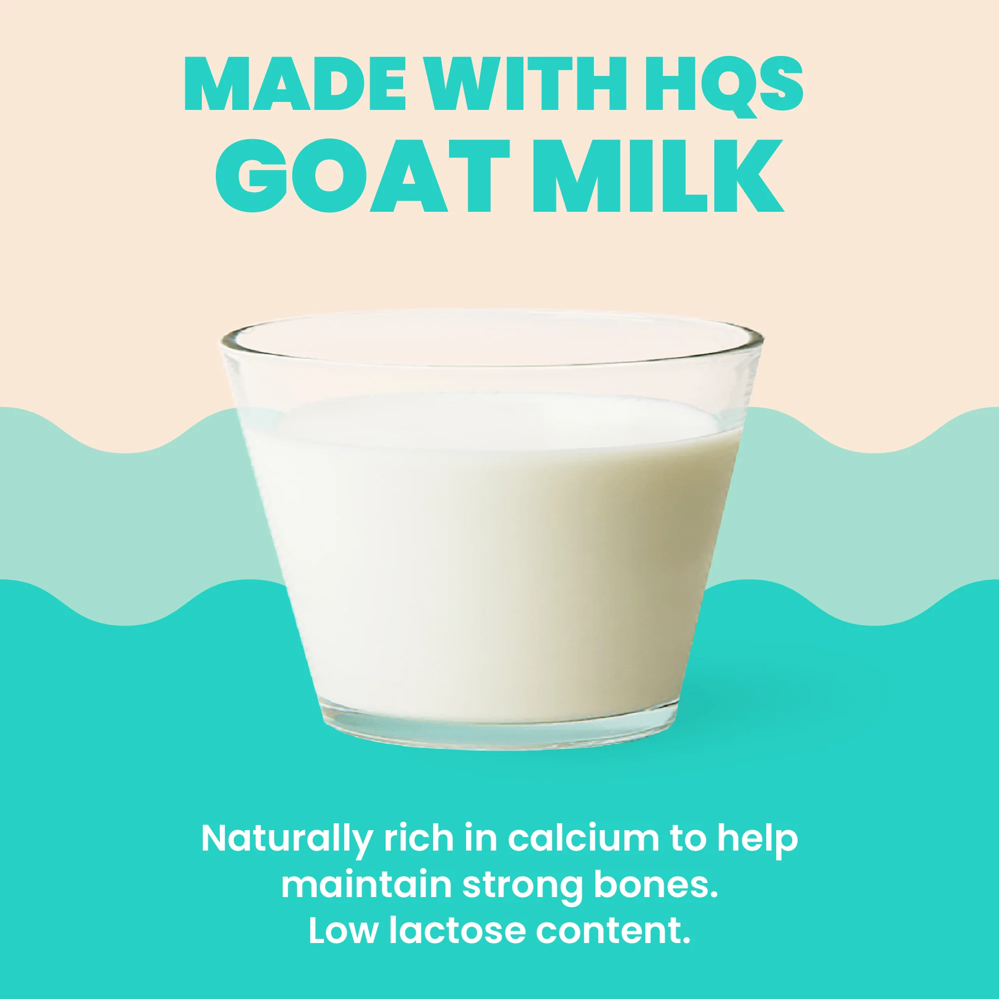 Almo Nature Hydration Help HQS Goat Milk Cat Food 50g - Image 5