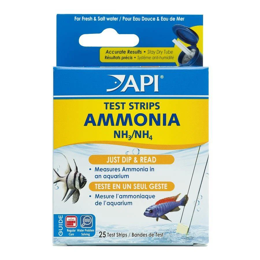 API Test Strips - Image 4