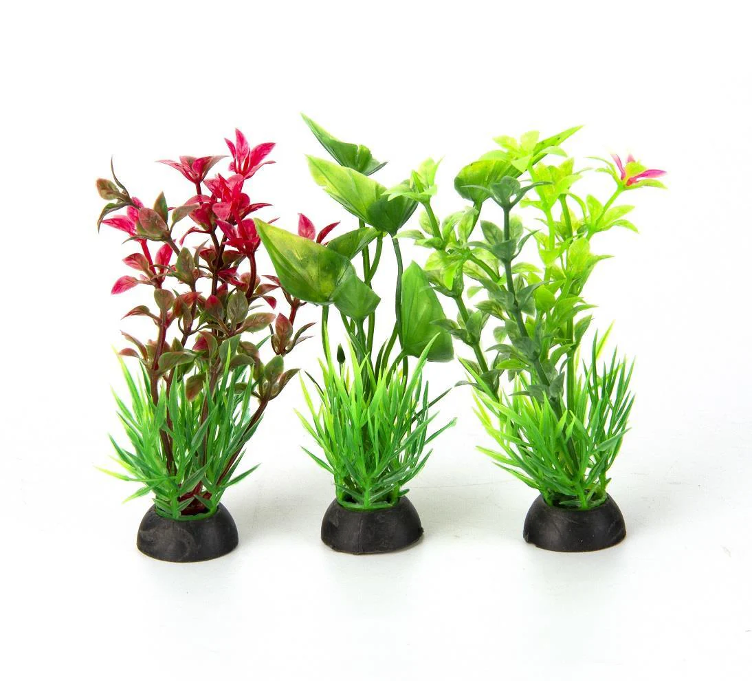 Aqua-Fit Assorted Plant Variety Pack - Image 2
