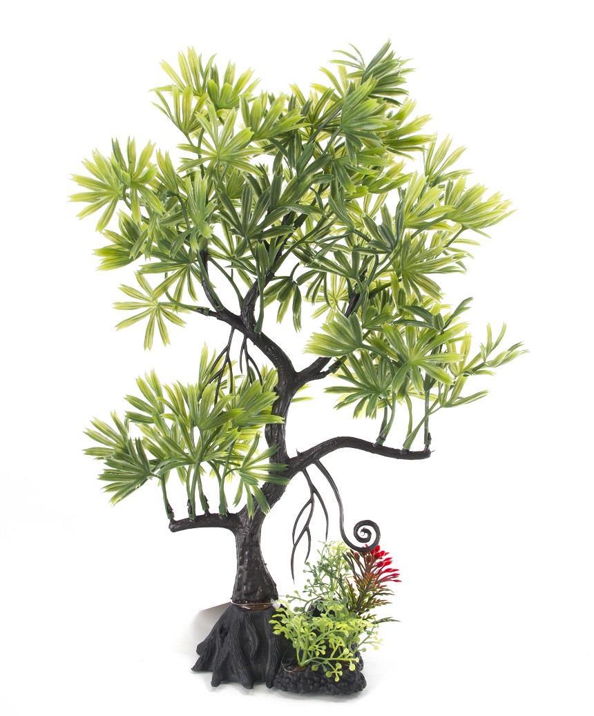 Aqua-Fit Japanese Maple Bonsai - Image 2