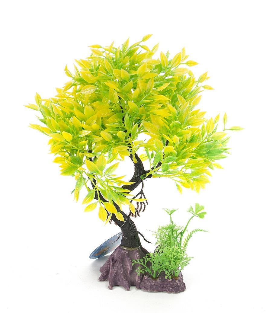 Aqua-Fit Juniper Bonsai - Image 4