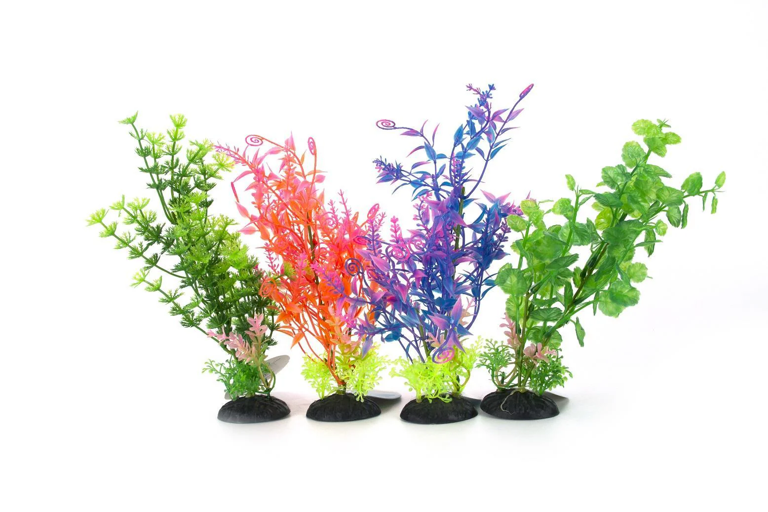 Aqua-Fit Plastic Plant - 5" - Image 2