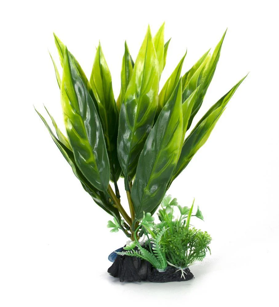 Aqua-Fit Plastic Plant - 8" - Image 3