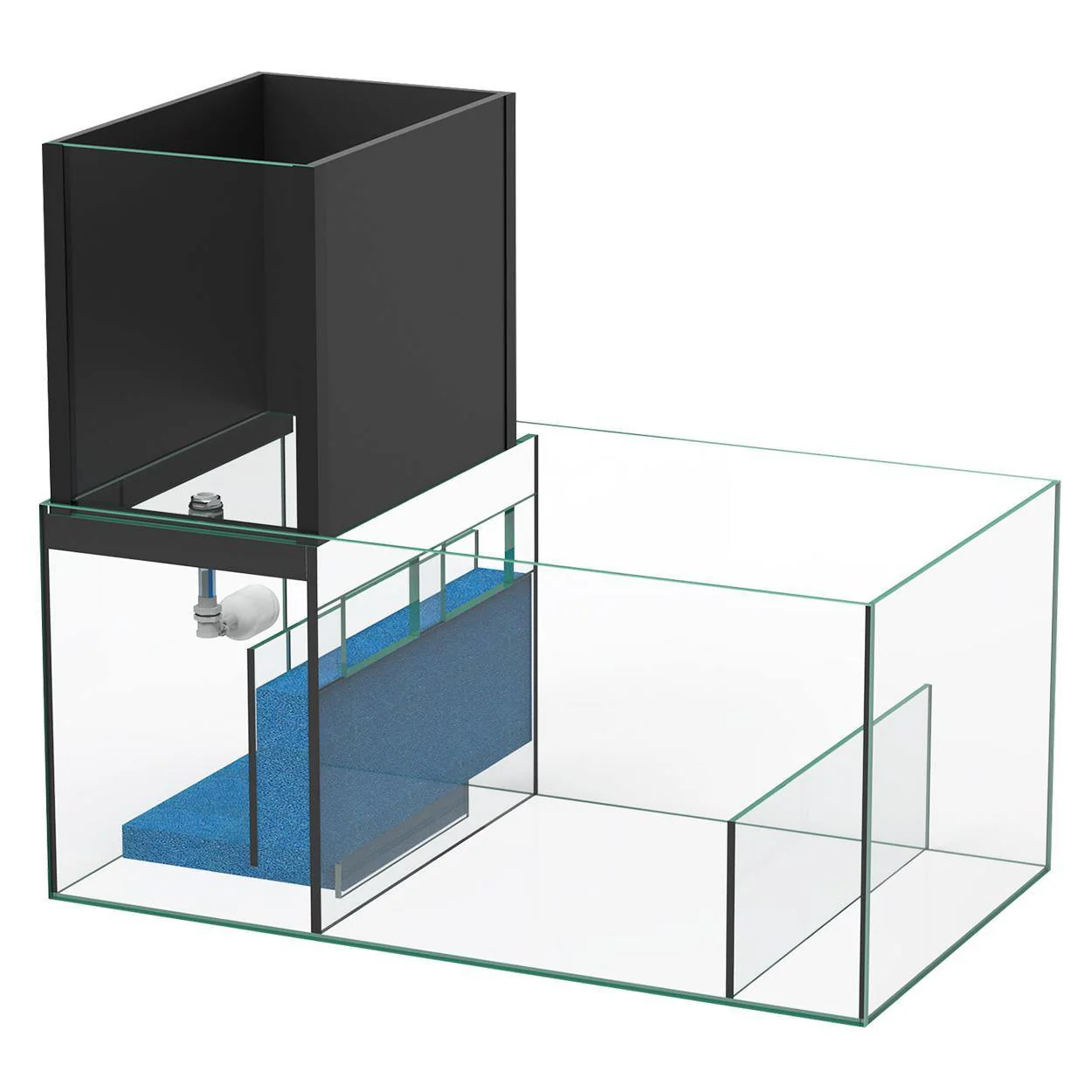 Aqualantis Aquaview Sump - Saltwater - Image 4