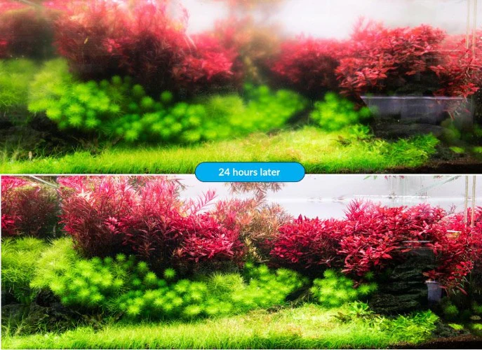 Aquario Neo Clean - Image 3