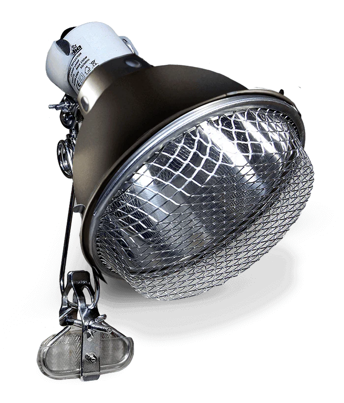 Arcadia Ceramic Clamp Lamp - Graphite - Image 2