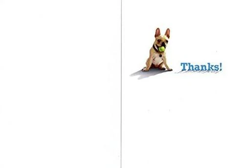 Avanti French Bulldog with Ball Thank You Card - Image 2