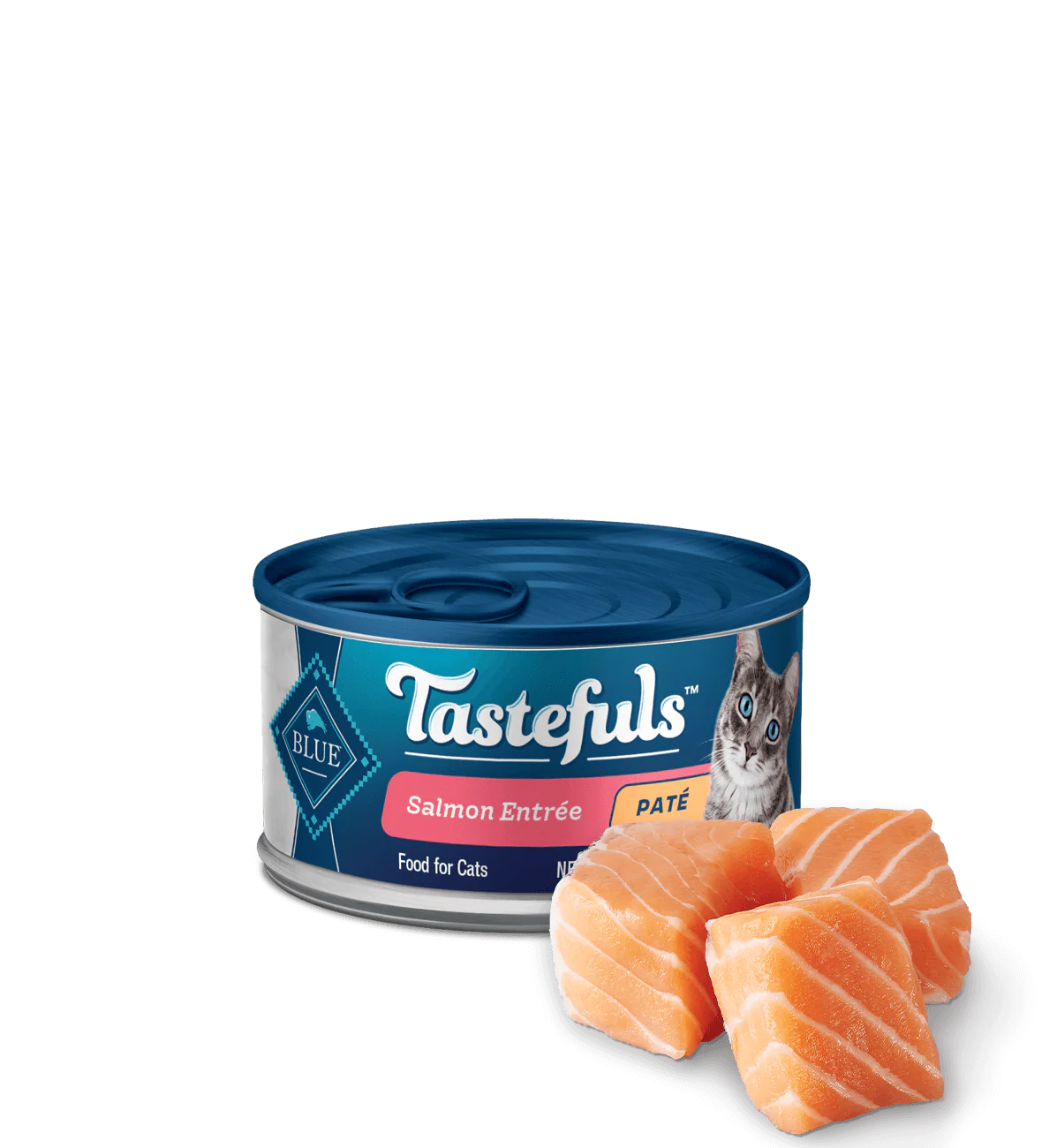 Blue Tastefuls - Salmon Pate 156g