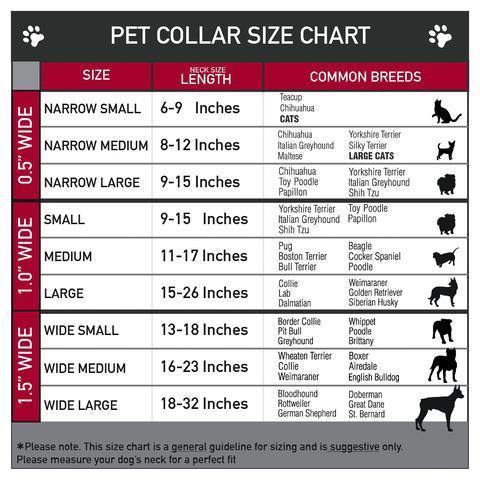 Buckle-Down Frozen Snowflake Poses Purple - Collar/Leash - Image 2