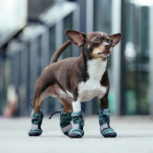 Canada Pooch Soft Shield Boots - Green Camo - Image 2