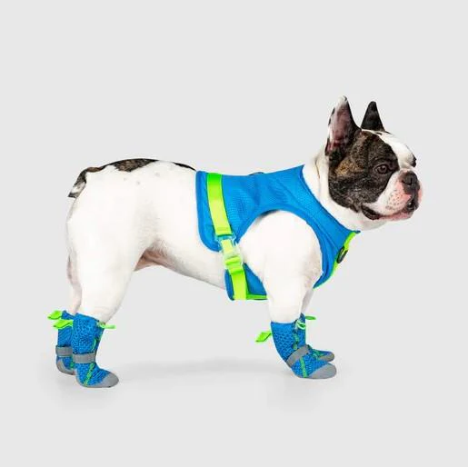 Canada Pooch Hot Pavement Boots - Blue - Image 3