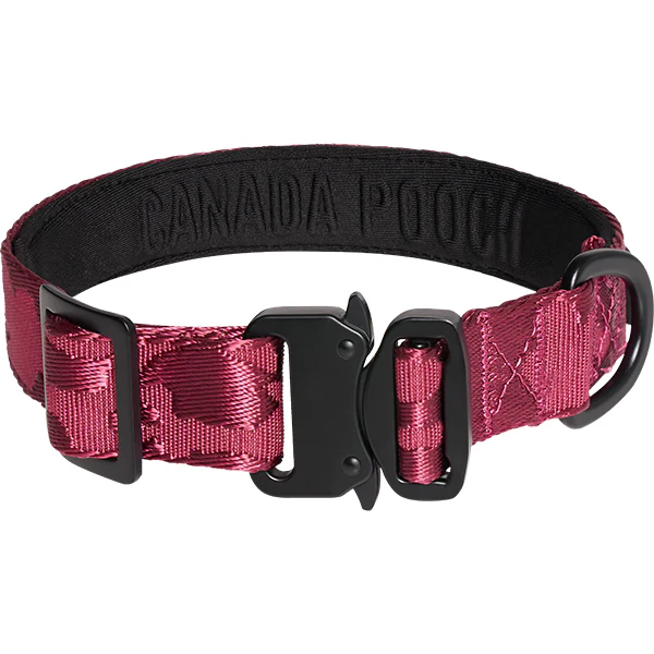 Canada Pooch Utility Collar - Image 3