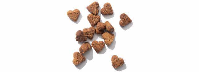 Catit Nuna Insect Medley 60g - Image 2