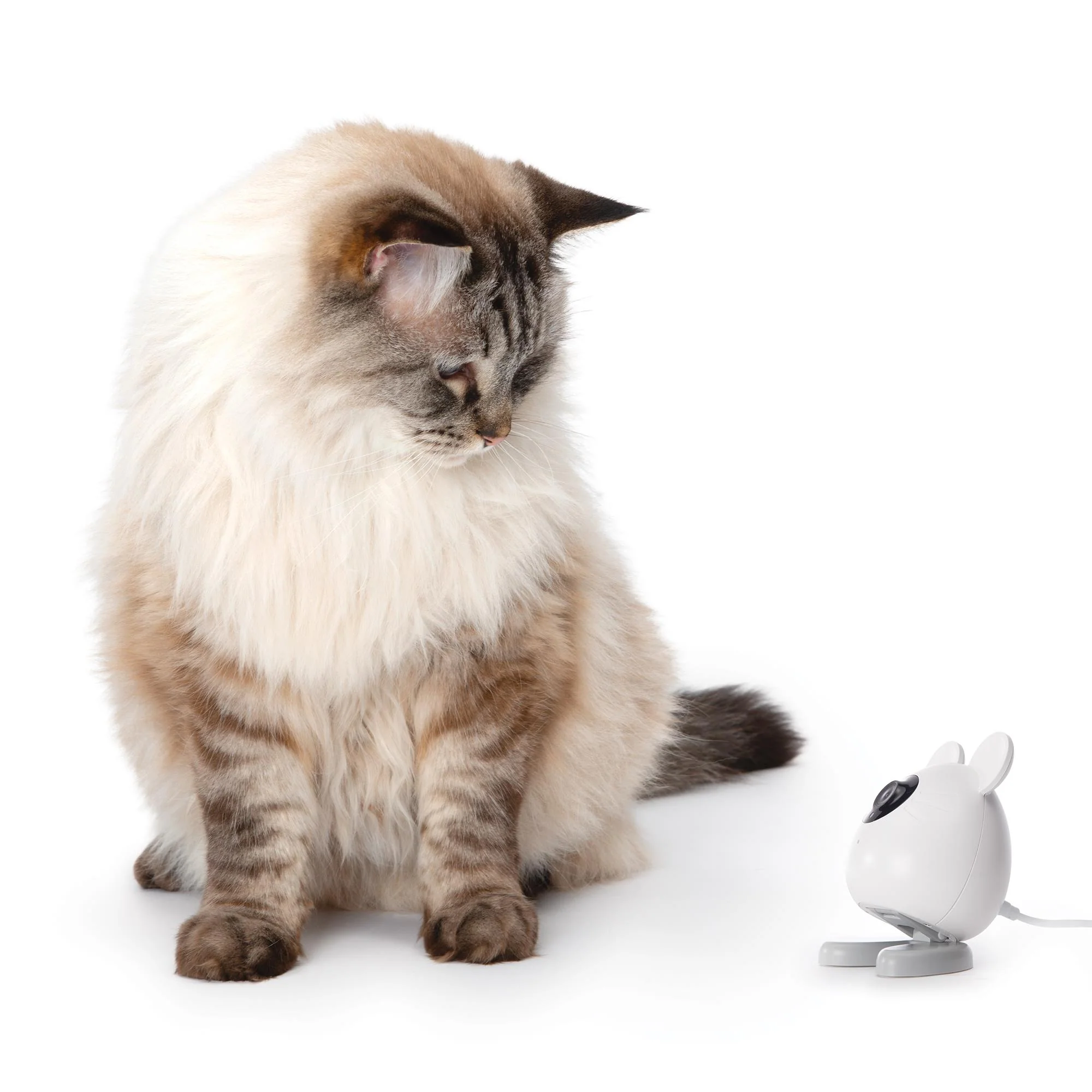 Catit PIXI Smart Mouse Camera - Image 3
