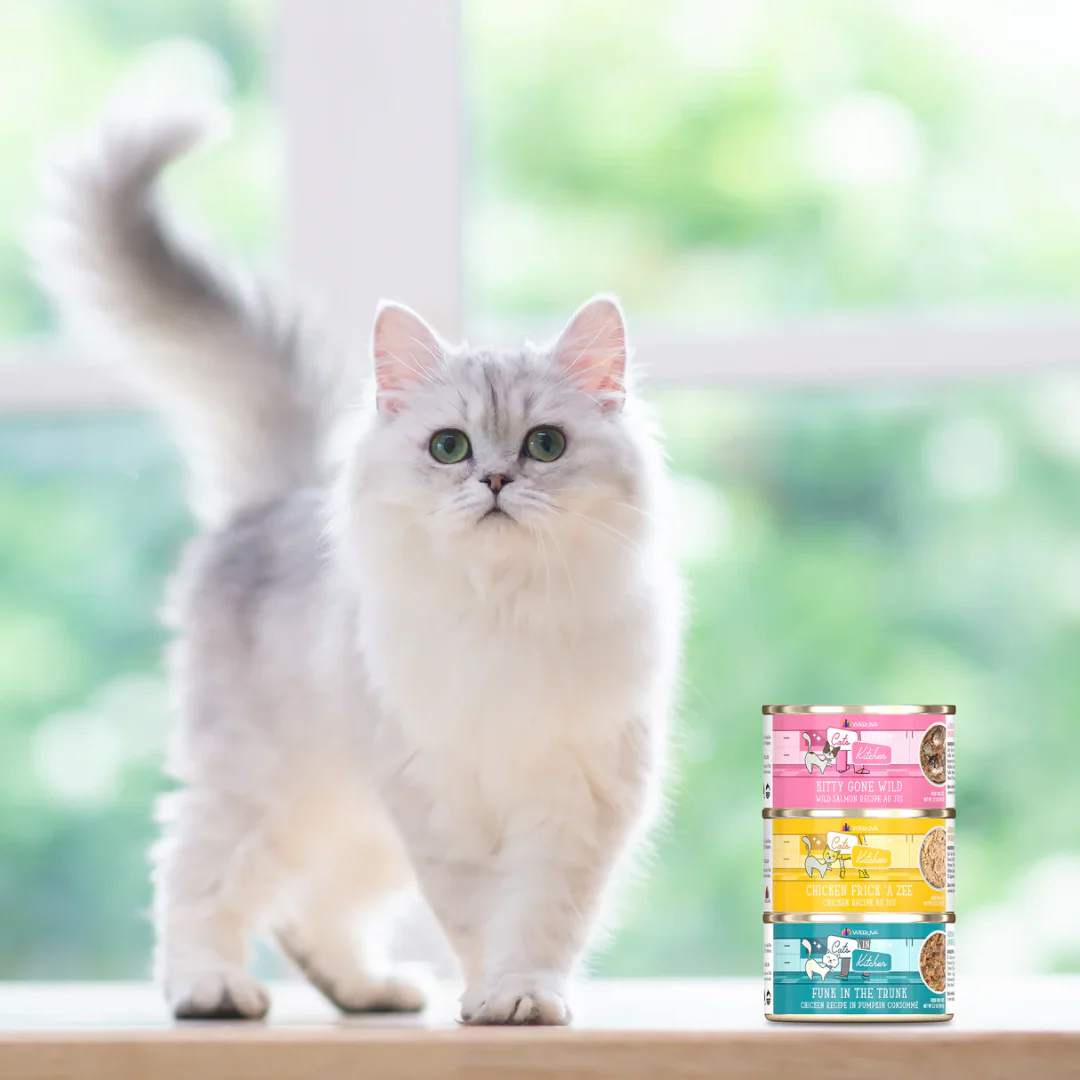 Weruva Cats in the Kitchen Chicken Frick 'A Zee Wet Cat Food 170g - Image 7