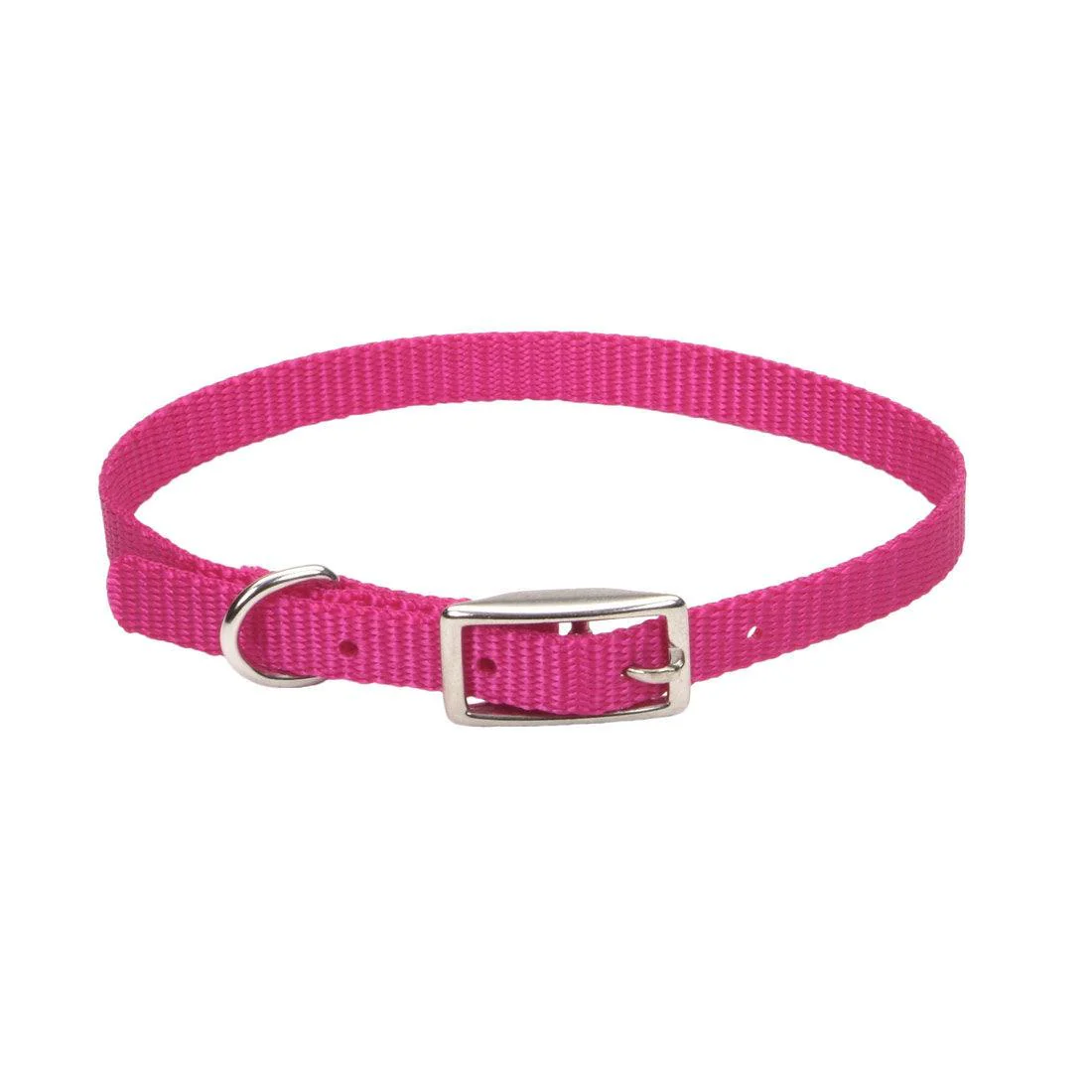 Coastal Single-Ply Dog Collar - Image 11