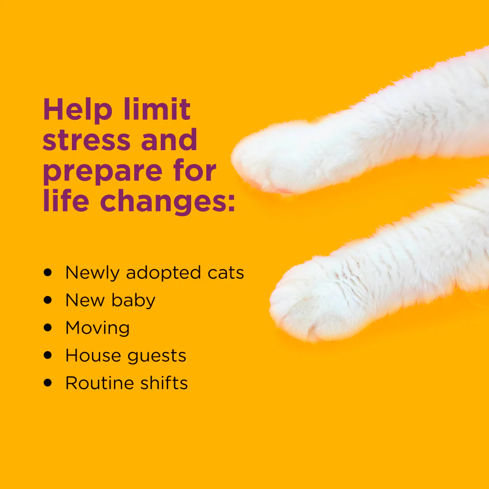 Comfort Zone Cat Calming Diffuser Kit 1-Pack - Image 3