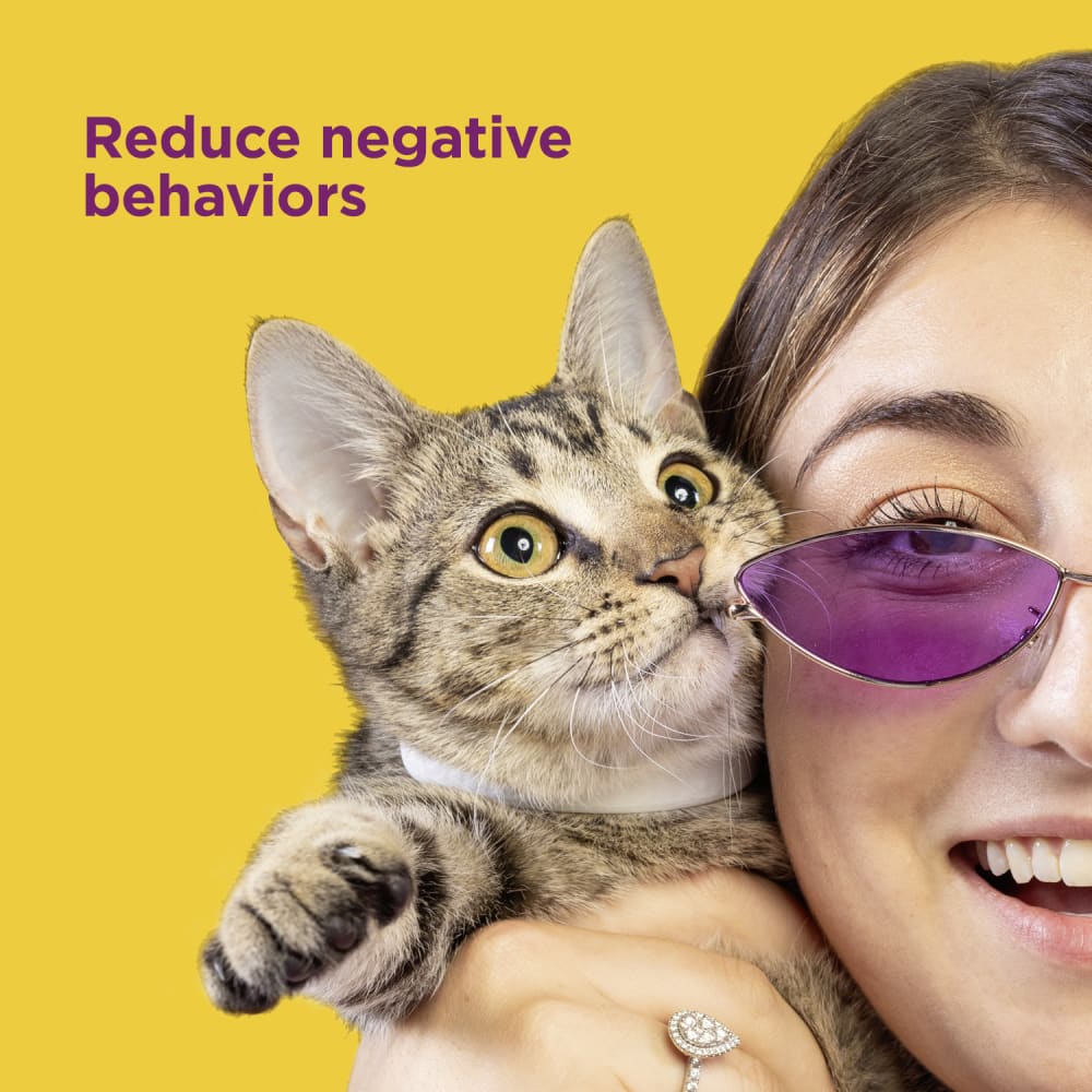 Comfort Zone Calming Pheromone Collar for Cats - Image 5