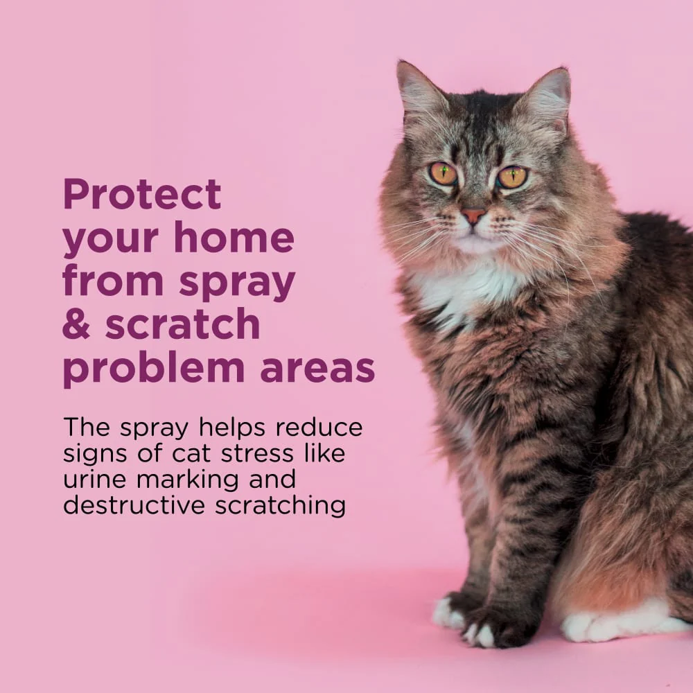 Comfort Zone Spray & Scratch Control Spray for Cats & Kittens 59ml - Image 2