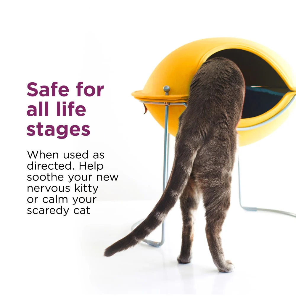 Comfort Zone Spray & Scratch Control Spray for Cats & Kittens 59ml - Image 5