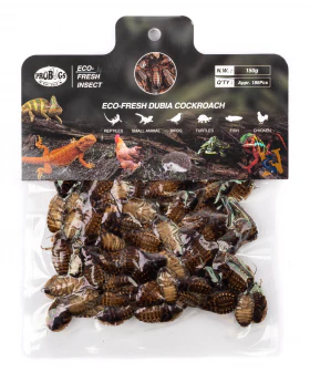 EcoFresh Large Dubia Roaches 150g