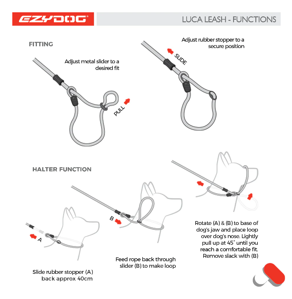 Ezydog Luca Leash - Available in Multiple Colours - Image 5