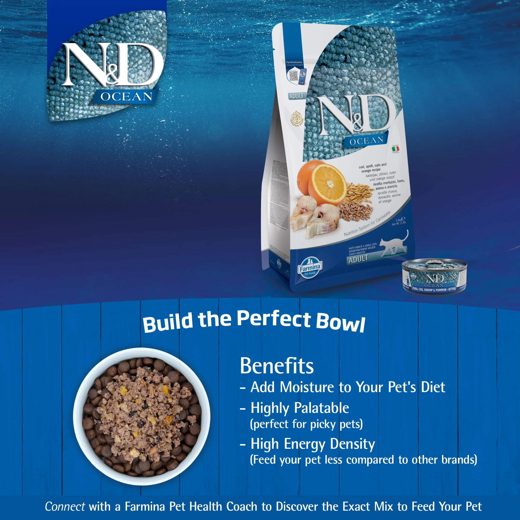 Farmina N&D Ocean Cod, Shrimp & Pumpkin Recipe Wet Cat Food 70g - Image 8