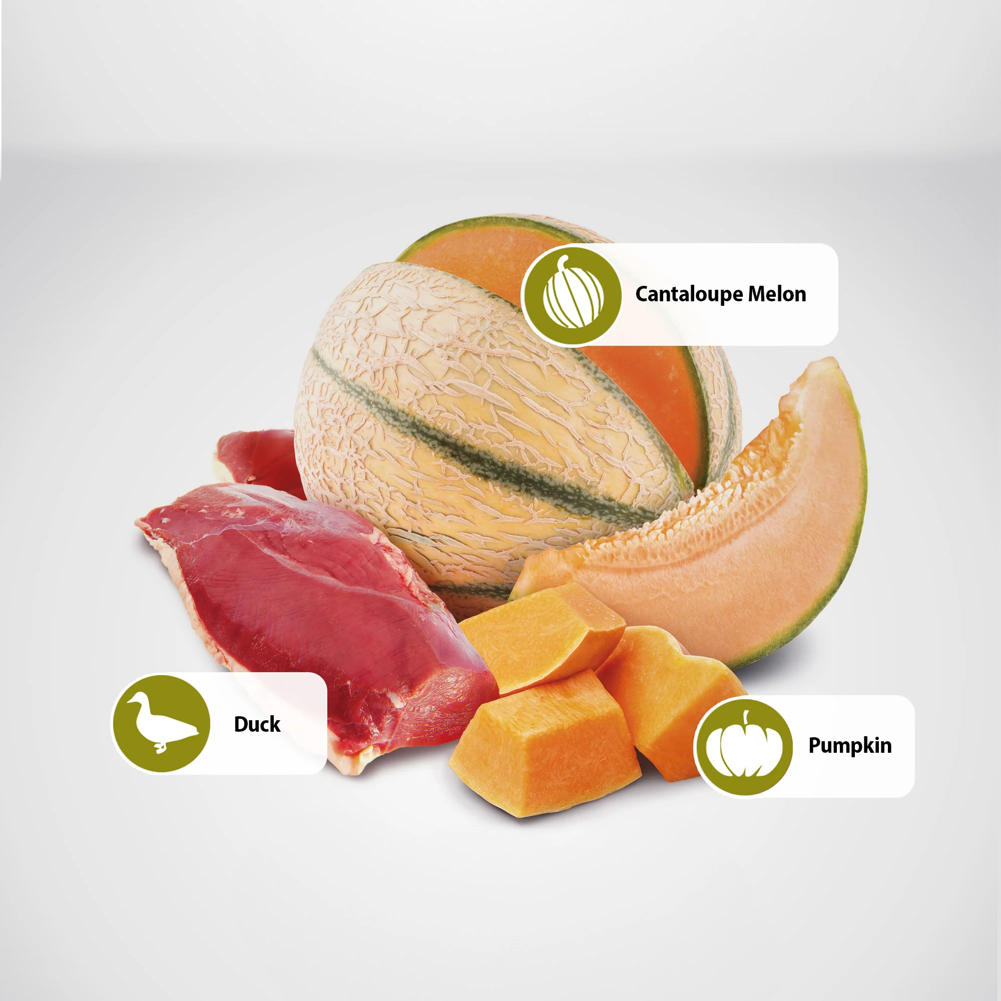 Farmina N&D Pumpkin Duck & Pumpkin Recipe Wet Cat Food 70g - Image 6