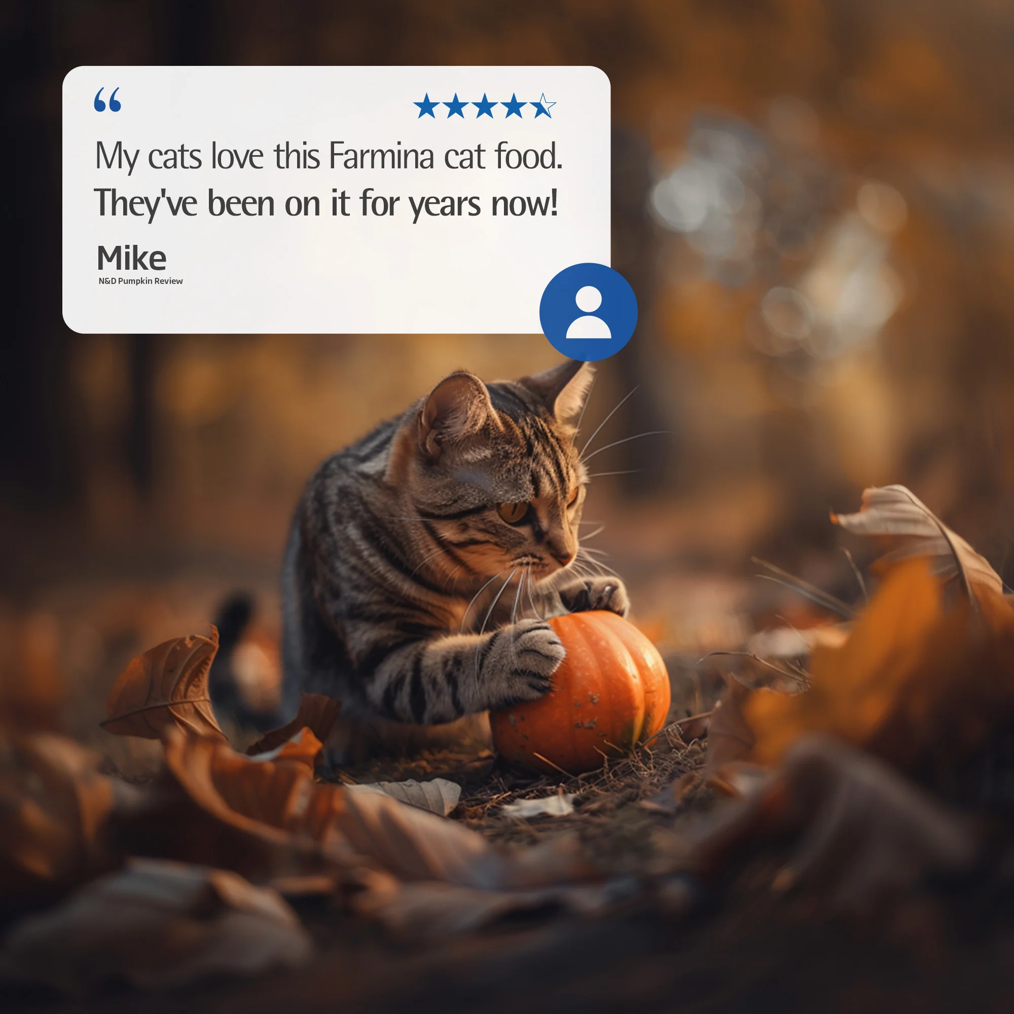 Farmina N&D Pumpkin Duck & Pumpkin Recipe Wet Cat Food 70g - Image 9
