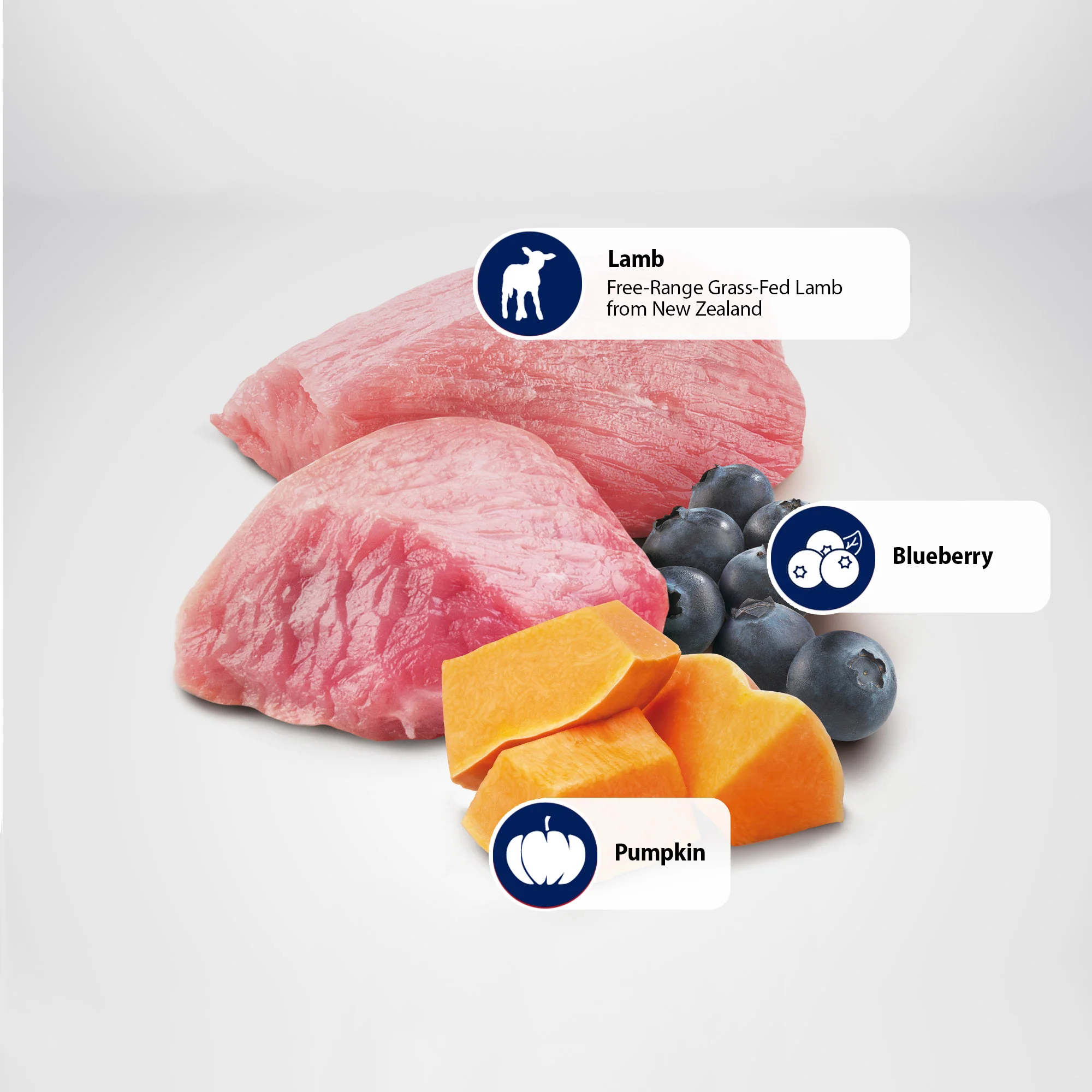Farmina N&D Pumpkin Lamb, Pumpkin & Blueberry Recipe Wet Cat Food 70g - Image 6