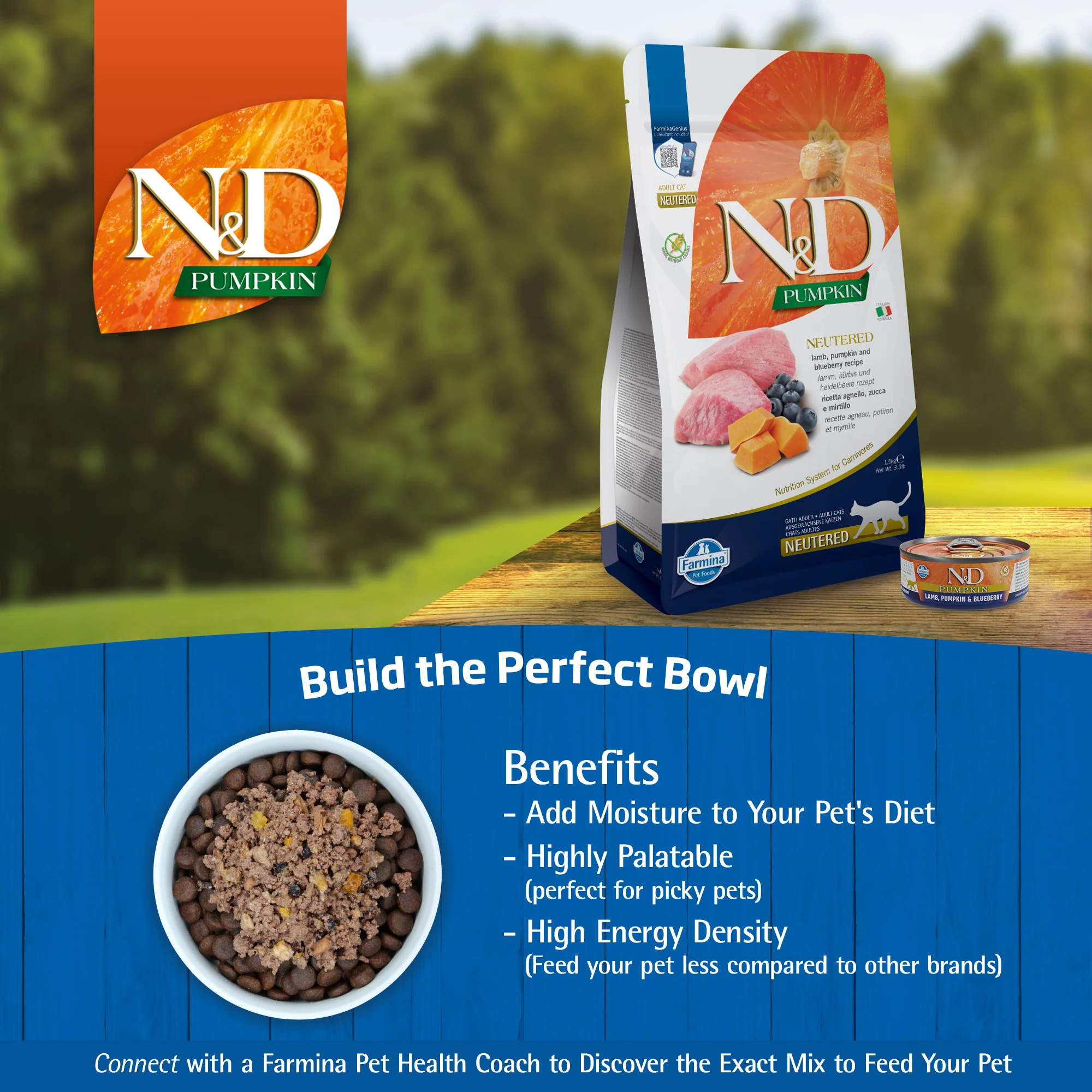 Farmina N&D Pumpkin Lamb, Pumpkin & Blueberry Recipe Wet Cat Food 70g - Image 8