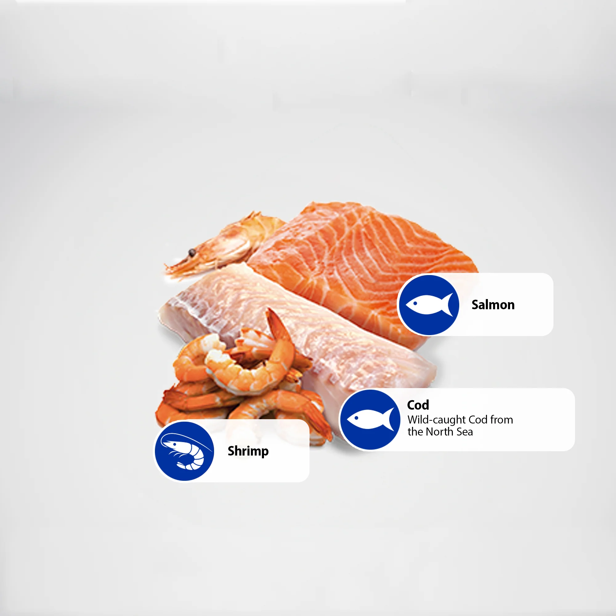 Farmina N&D Ocean Salmon, Cod & Shrimp Recipe Wet Cat Food 70g - Image 6