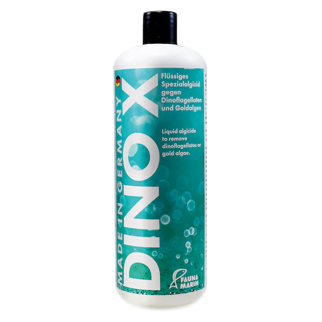 Fauna Marin Dino X - Image 2