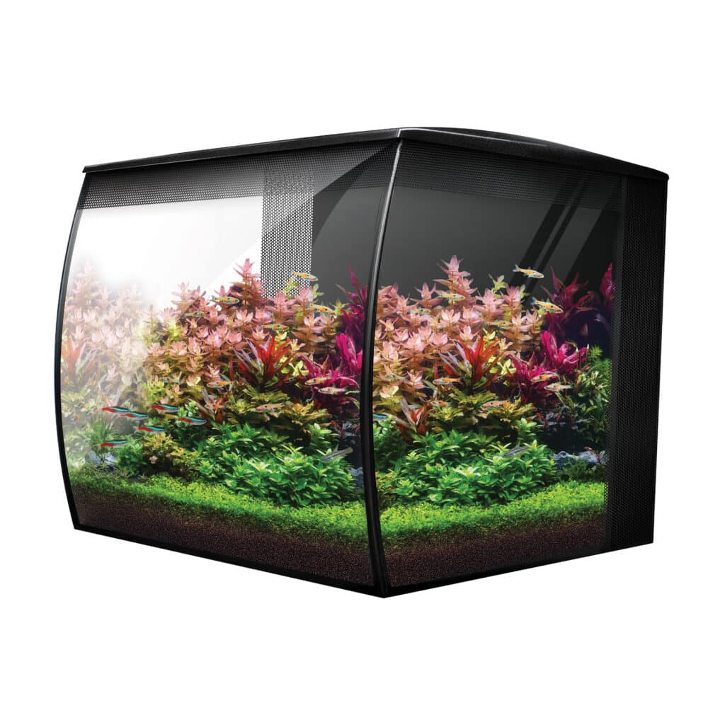Fluval Flex 2.0 Aquarium Kit Black - Image 4