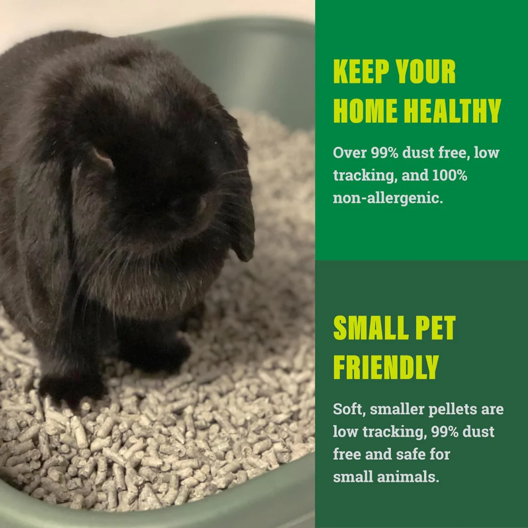 Fresh News Small Animal Litter - Image 5