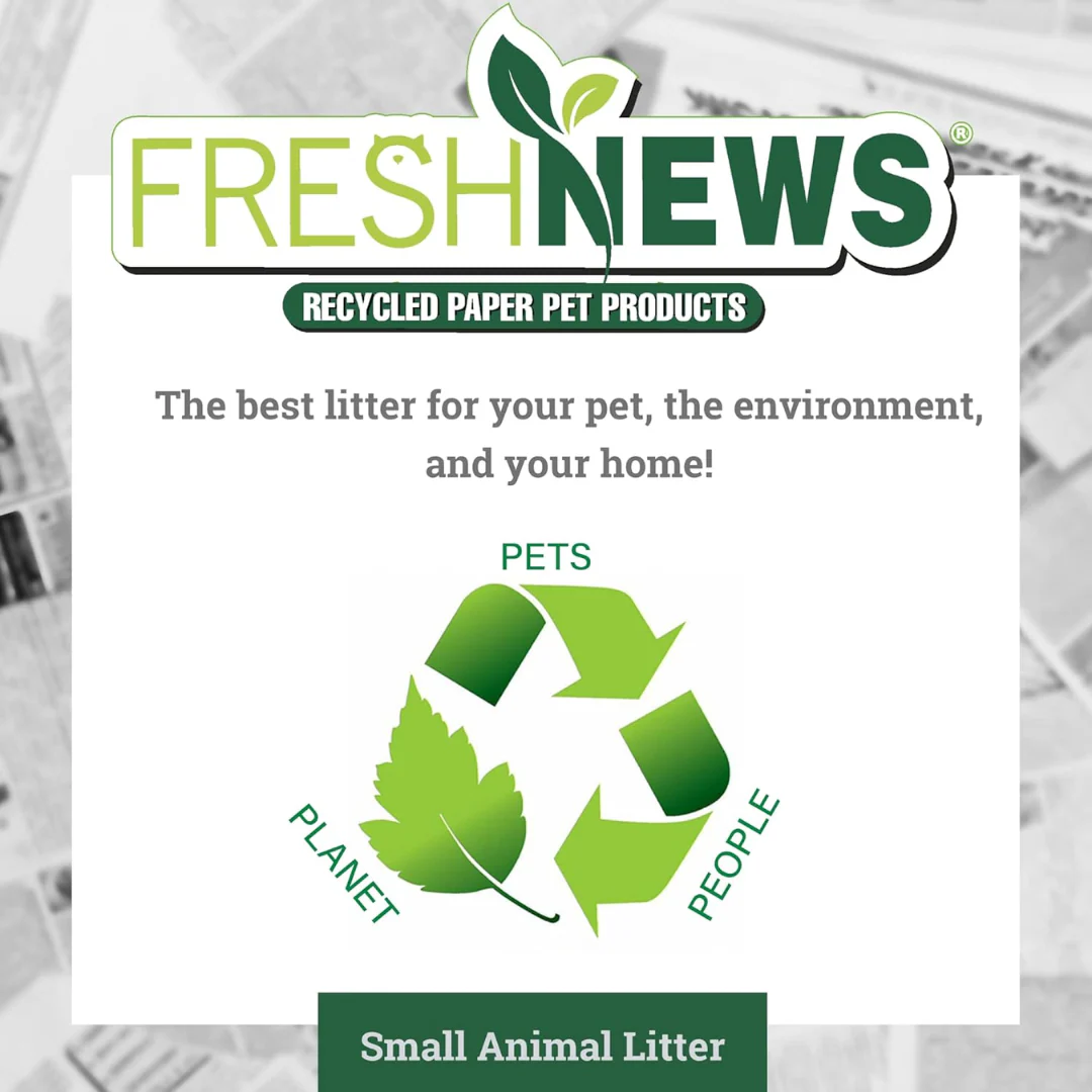 Fresh News Small Animal Litter - Image 8