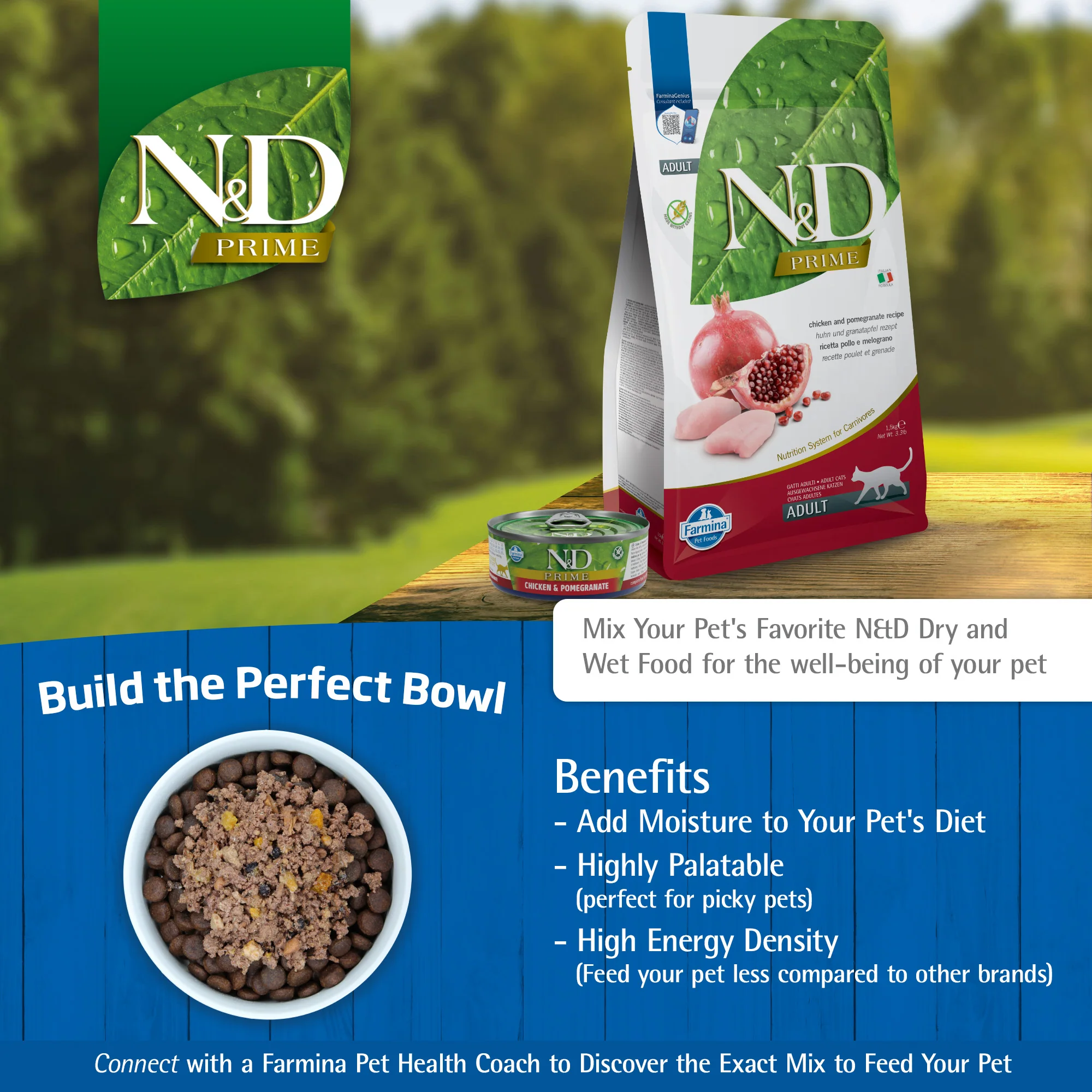 Farmina N&D Prime Chicken & Pomegranate Recipe Wet Kitten Food 70g - Image 7