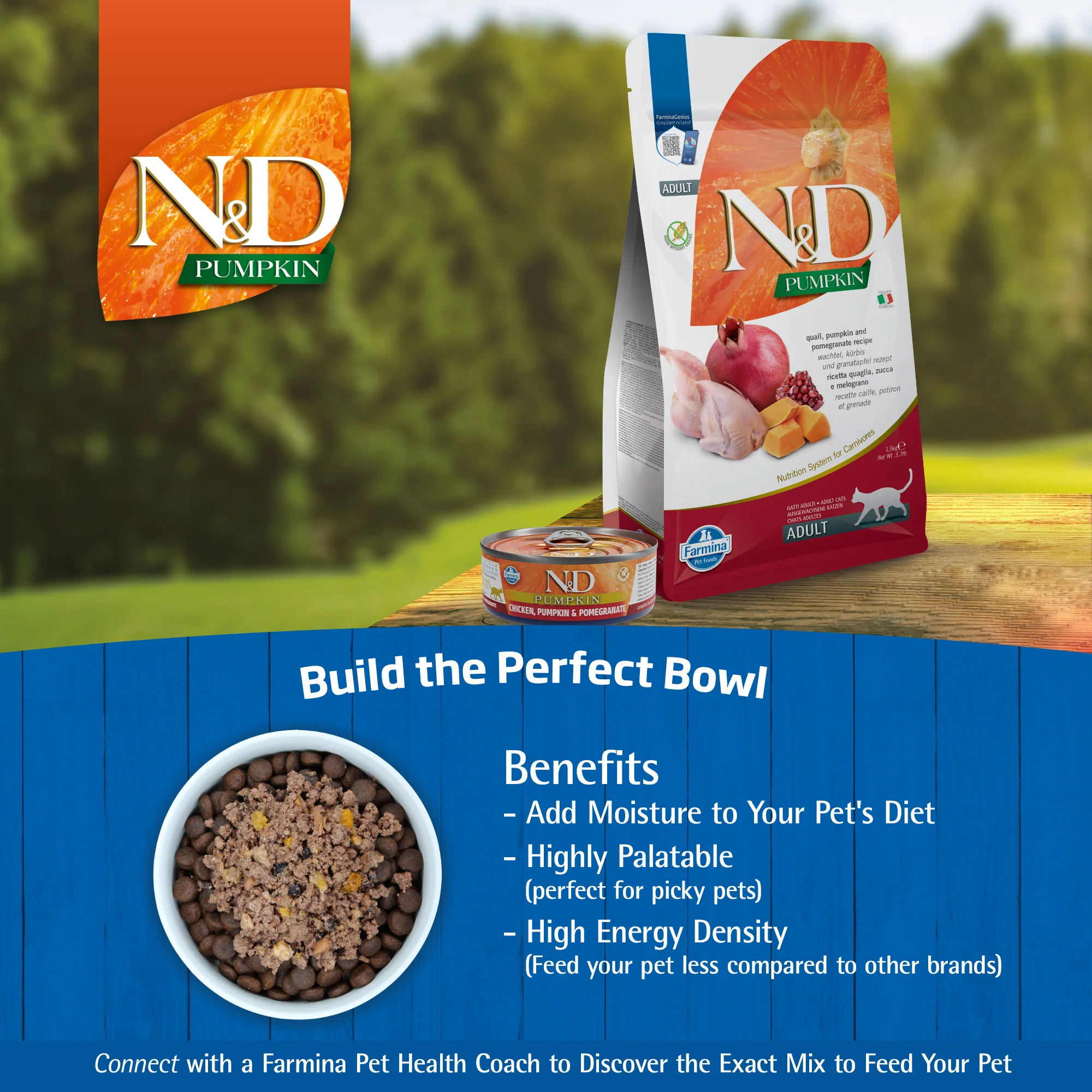 Farmina N&D Pumpkin Chicken, Pumpkin & Pomegranate Recipe Wet Cat Food 70g - Image 8