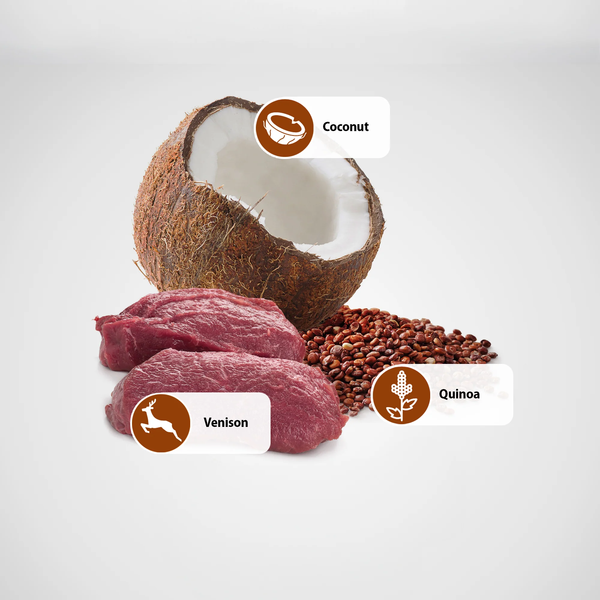 Farmina N&D Quinoa Skin & Coat - Venison & Coconut Recipe Wet Cat Food 80g - Image 5