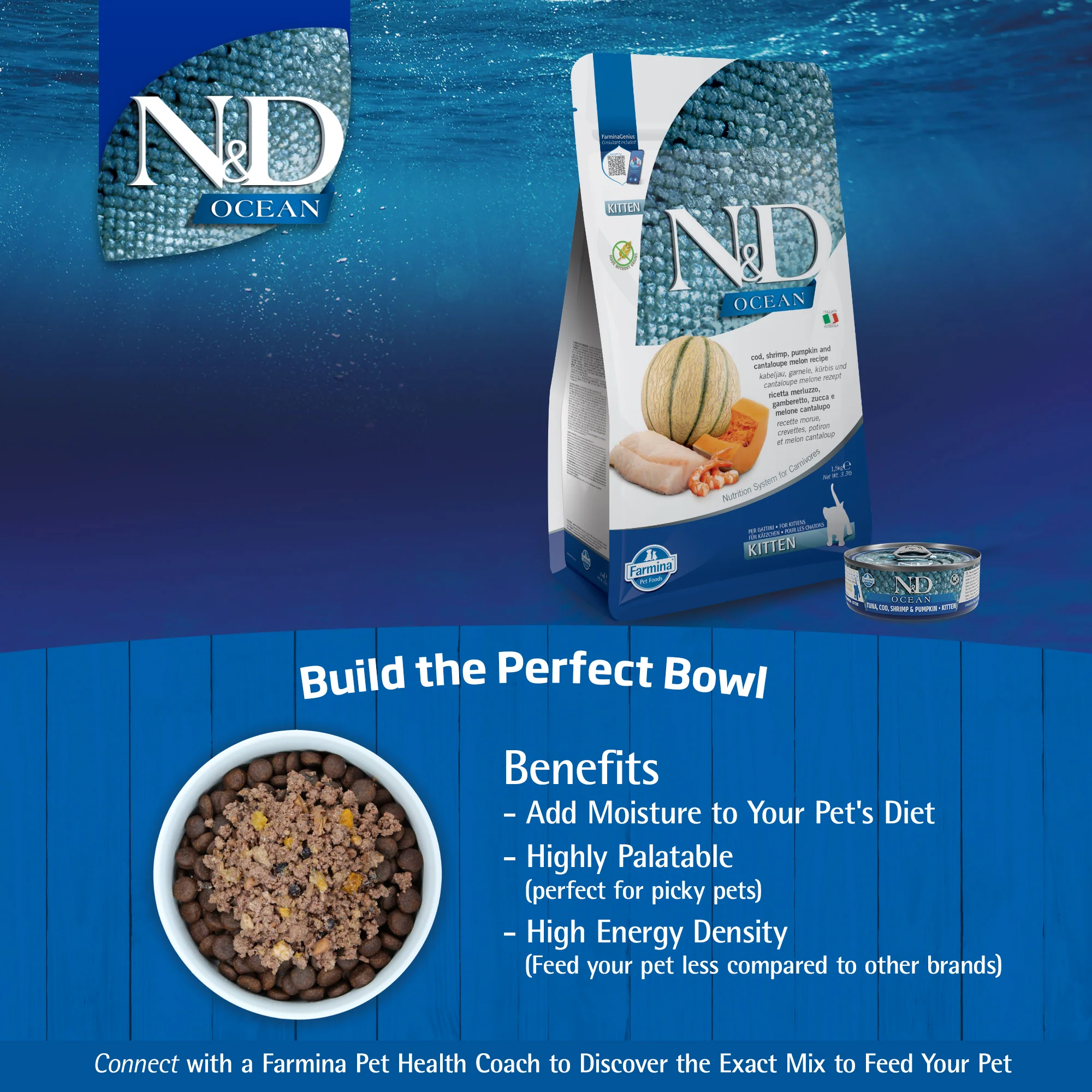 Farmina N&D Ocean Cod, Shrimp & Pumpkin Recipe Wet Kitten Food 70g - Image 9