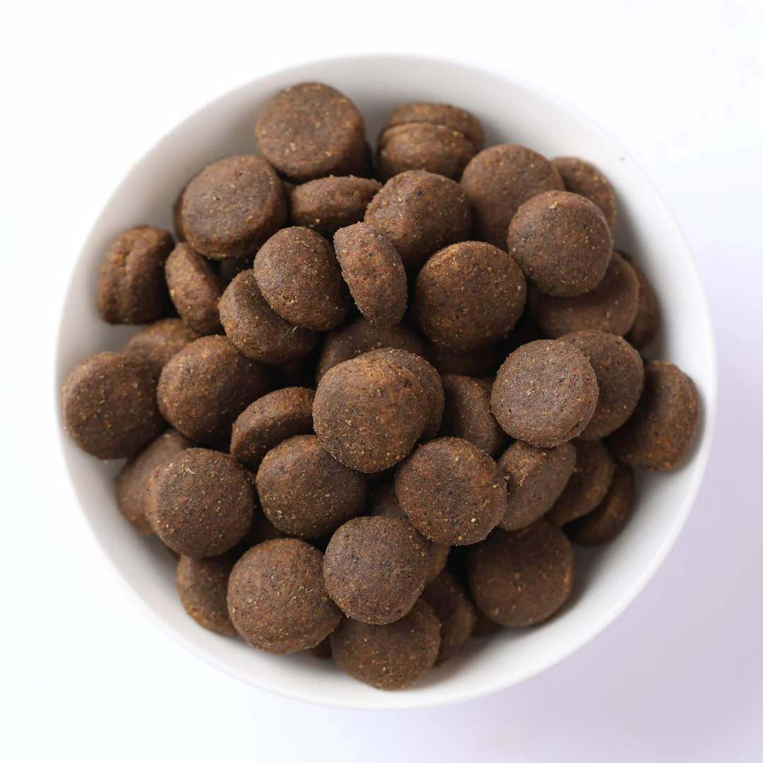 Farmina N&D Pumpkin Lamb, Pumpkin and Blueberry Recipe Medium & Maxi Puppy Food - Image 3