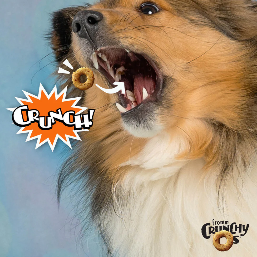 Fromm Crunchy Os Dog Treats 737g - Image 8