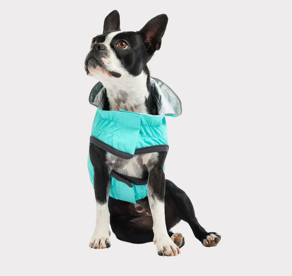 GF Pet Reversible Raincoat - Neon Aqua & Iridescent - Image 2