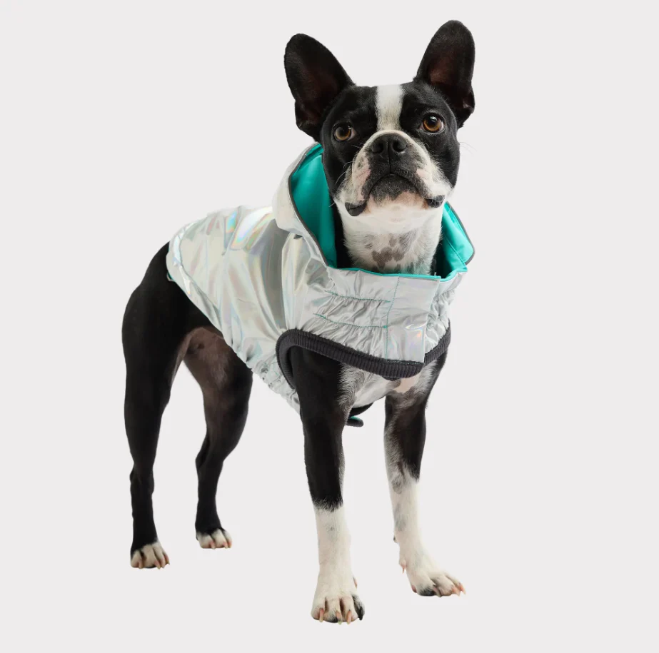 GF Pet Reversible Raincoat - Neon Aqua & Iridescent - Image 3