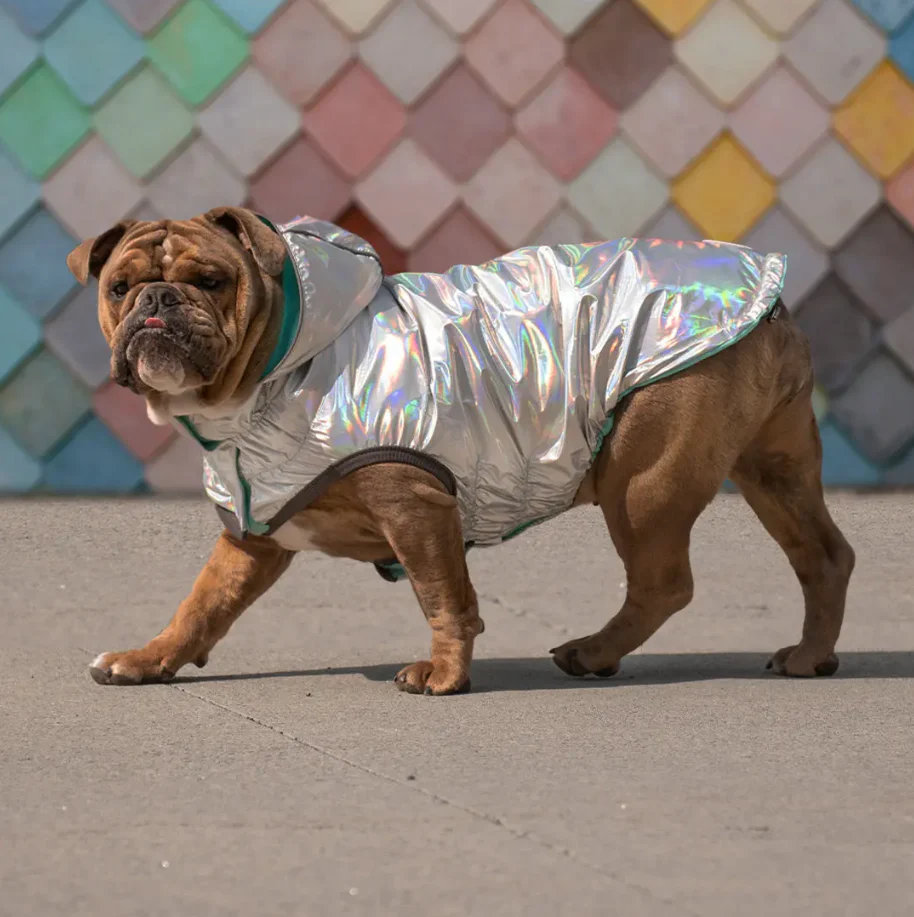 GF Pet Reversible Raincoat - Neon Aqua & Iridescent - Image 6