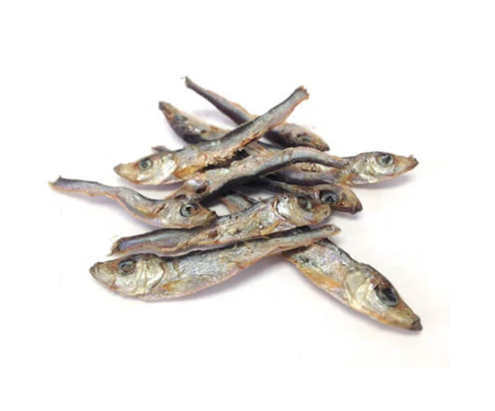 Granville Island Pet Treatery - With Love & Fishes - Image 2